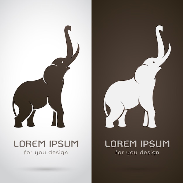Vector van een olifant ontwerp op witte achtergrond en bruine achtergrond Logo Symbol