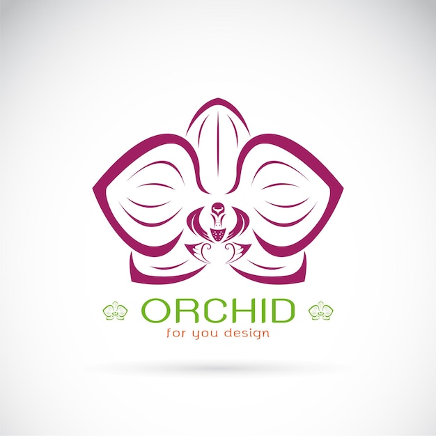 Vector van een Orchid-logo op een witte achtergrond Flower. Gemakkelijk bewerkbare gelaagde vectorillustratie.