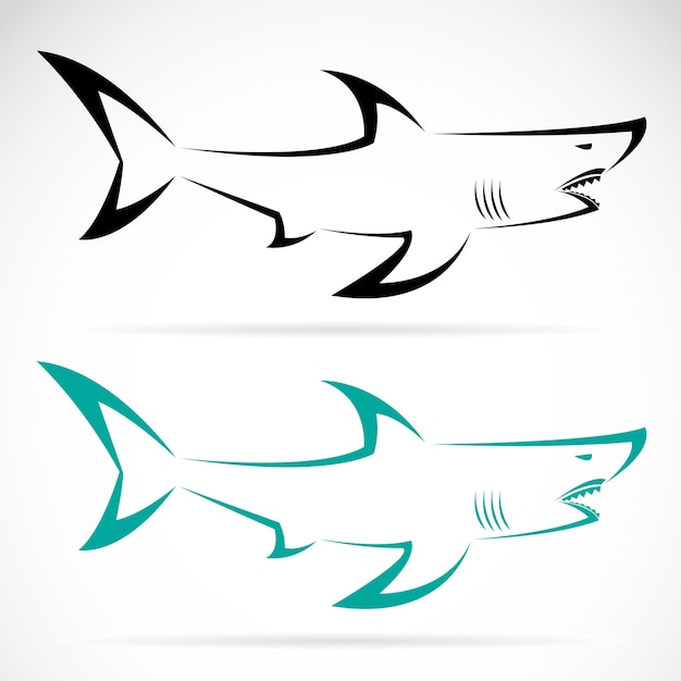 Vector van haai op een witte achtergrond Gemakkelijk bewerkbare gelaagde vectorillustratie