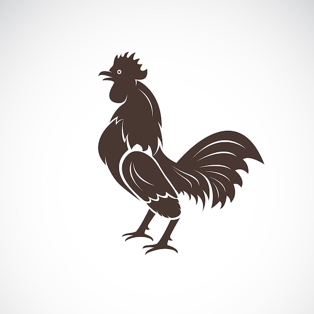 Vector van haan of haan ontwerp op witte achtergrond Farm Animal Chicken logo's of pictogrammen Gemakkelijk bewerkbare gelaagde vectorillustratie