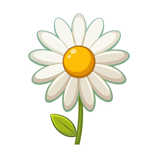 Vector van illustratie daisy op wit