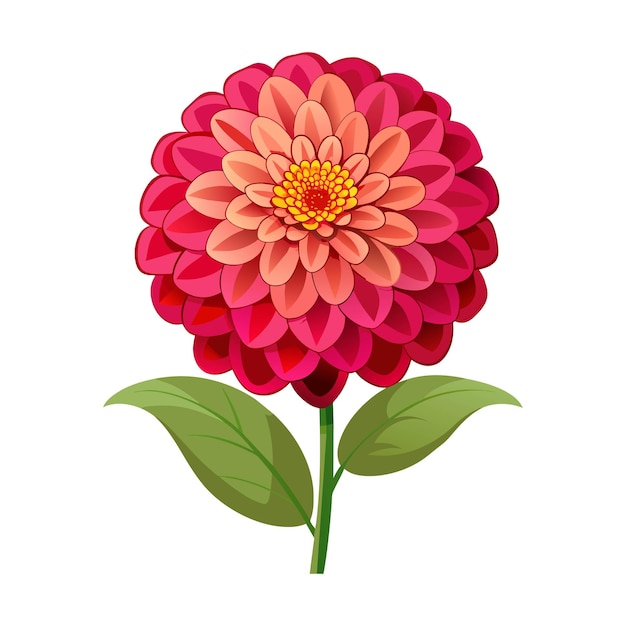 Vector vector van illustratie zinnia op wit