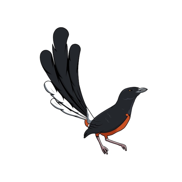 Vector vector van oosterse magpie robin vogel ontwerp op witte achtergrond