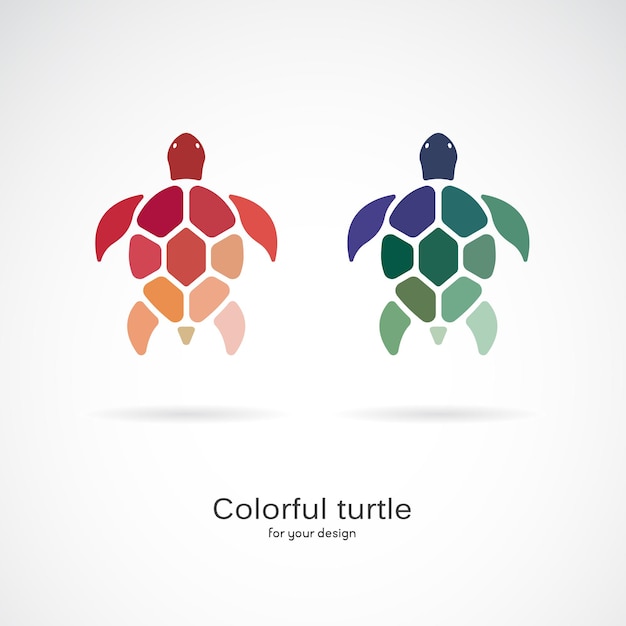 Vector van twee kleurrijke schildpadden op witte achtergrond. Wilde dieren. Onderwater dier. Schildpadpictogram of logo. Gemakkelijk bewerkbare gelaagde vectorillustratie.