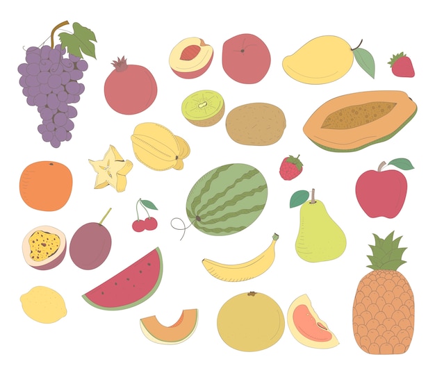 Vector van verschillende soorten fruit