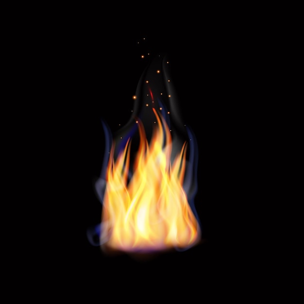 vector vector realistic burning fire flames with smoke