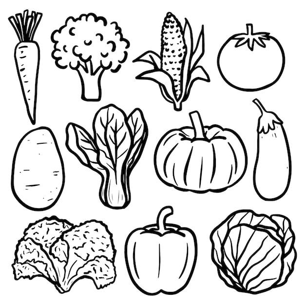 Vector Vegetable Hand Drawn Scribble Element