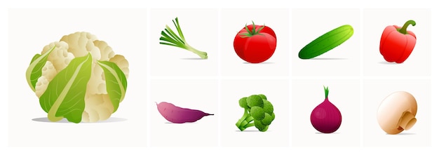 Vector vegetables icons set in modern style