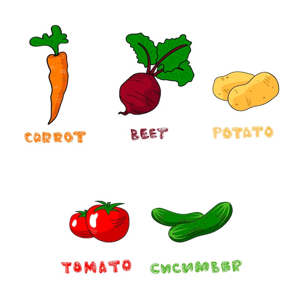 Vector Vegetables