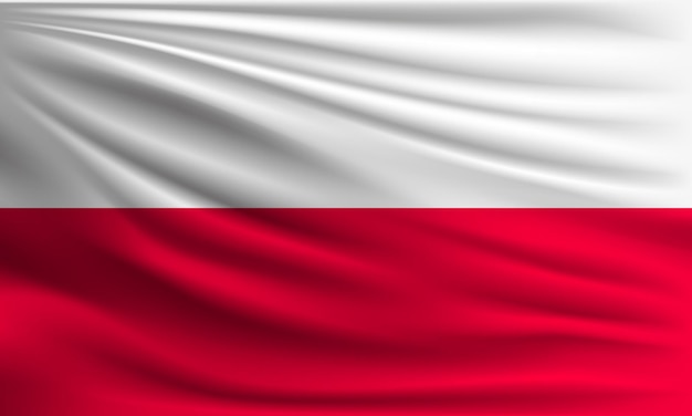 Vector vlag van Polen met een palm