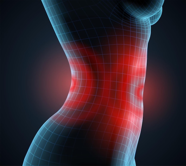 Vector vrouwelijk lichaam op een kleur achtergrond pijn in de buik en rug