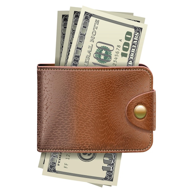 Vector vector wallet with money isolated on white background