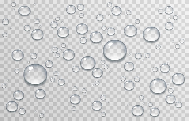 Water Bubbles PNG Transparent Background, Free Download #11412