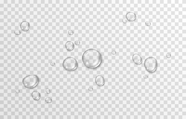 Vector vector water drops png drops condensation on the window on the surface realistic drops png