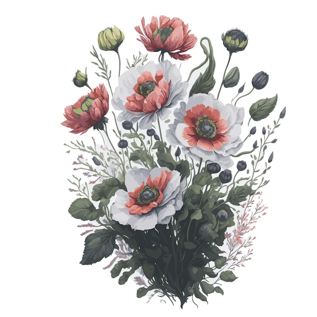 Vettore acquerello vettoriale anemone coronaria clipart fiorista modificabile