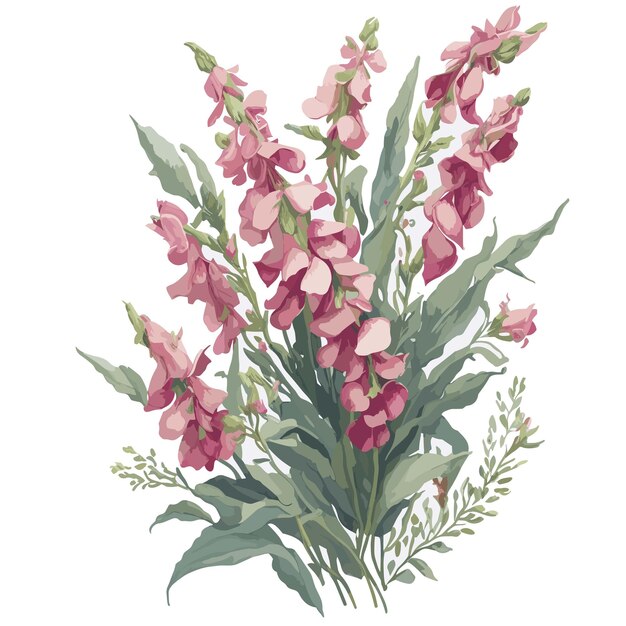 Vector Watercolor Candy showers snapdragons clipart floral