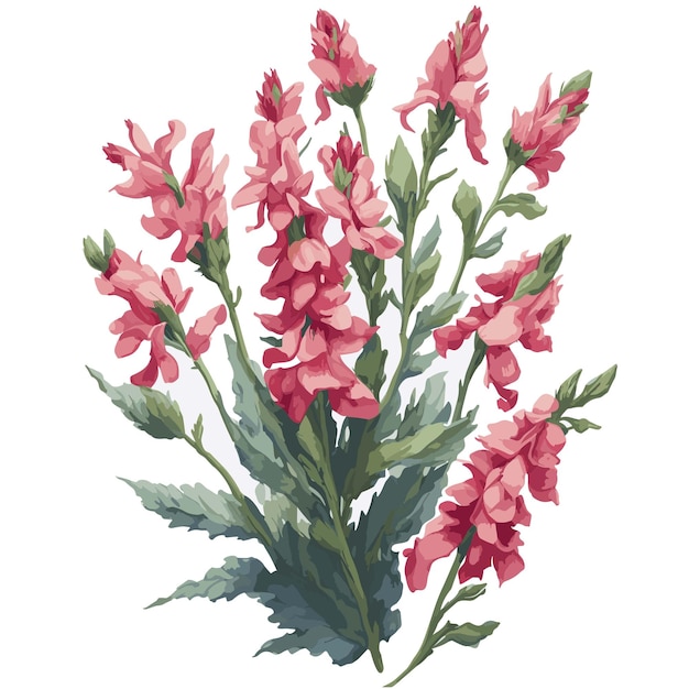 Vector Watercolor Candy tops snapdragons clipart floral