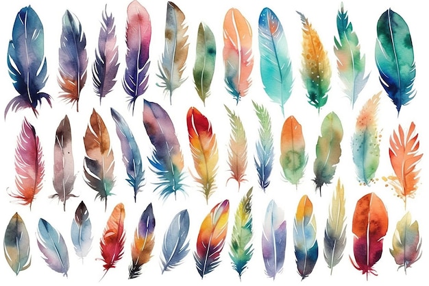 Vector vector watercolor feathers illustration set colorful watercolor feathers collection wedding