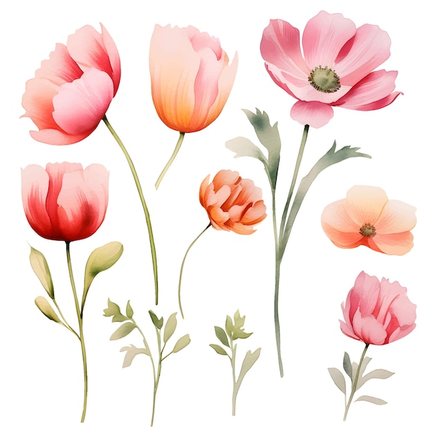 vector watercolor flowers clipart