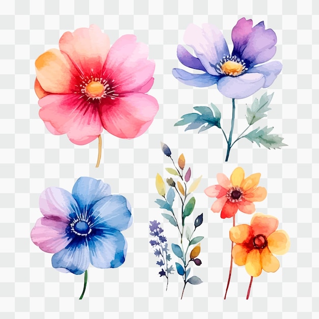 Vector watercolor flowers on a transparent background