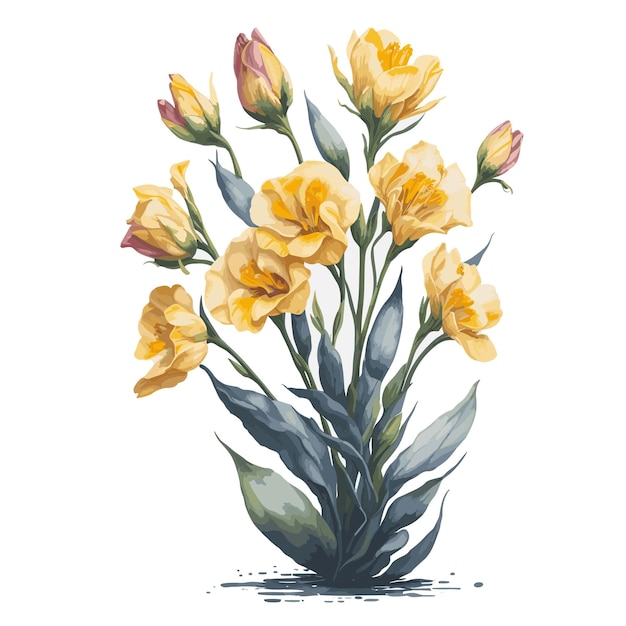 Vector Watercolor Freesia sunrise clipart floral