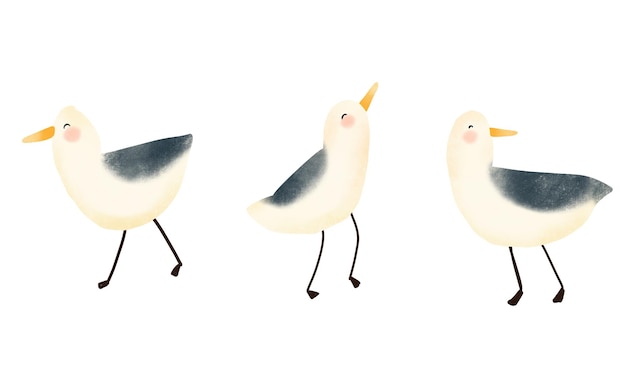 vector watercolor hand drawn set of cute seagulls