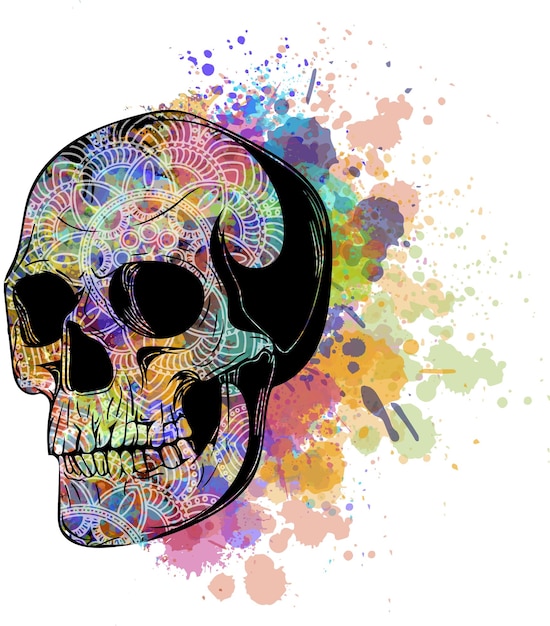 vector Watercolor human skull illustration