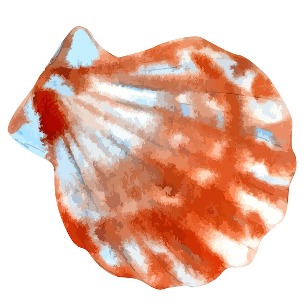 Vector vector watercolor illustration of colorful seashell