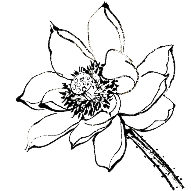 로터스 꽃 구성의 터 수채화 일러스트레이션 중국 잉크 및 세탁 그림