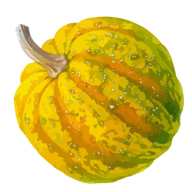 Vector watercolor illustration of pumpkin