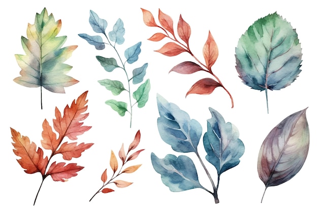 vector watercolor leaves plants collection