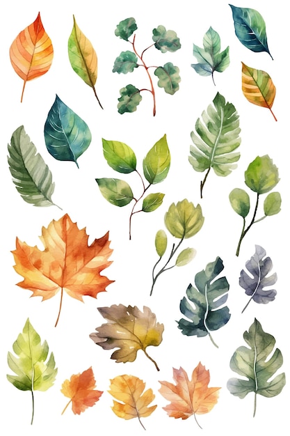 벡터 수채화 잎 식물 컬렉션