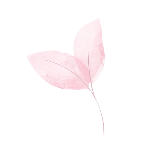 Vector vector watercolor leaves on white background