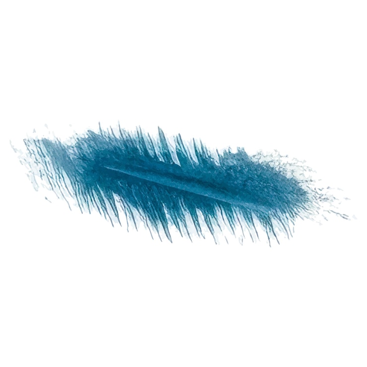 Vector vector watercolor painted brush stroke hand drawn design element isolated on white background