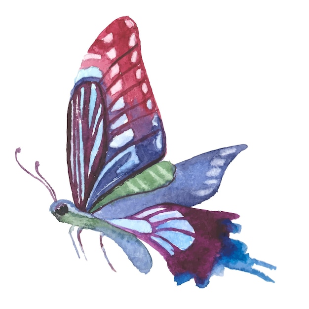 ベクトル水彩塗装蝶白い背景に分離された手描きのデザイン要素