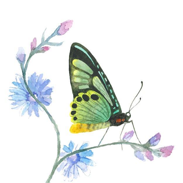 Vector Watercolor painted butterfly Hand drawn design elements isolated on white background