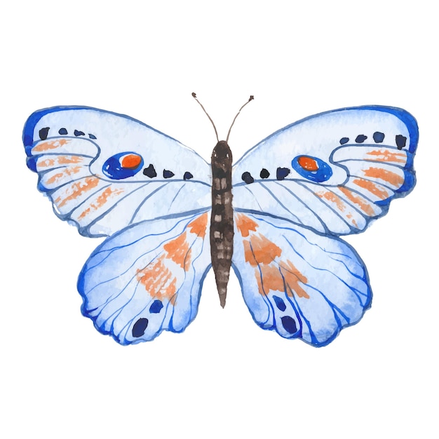 Vector watercolor painted butterfly hand drawn design elements isolated on white background