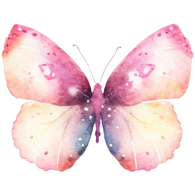 Vector vector watercolor painted butterfly hand drawn design elements isolated on white background