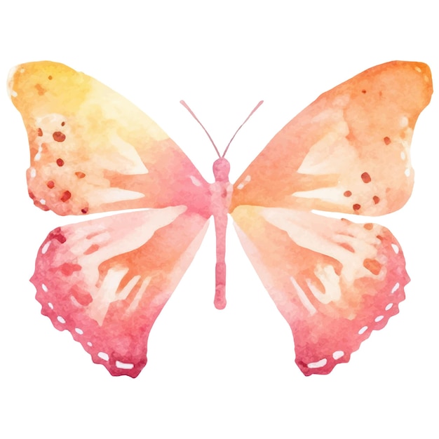 Vector vector watercolor painted butterfly hand drawn design elements isolated on white background