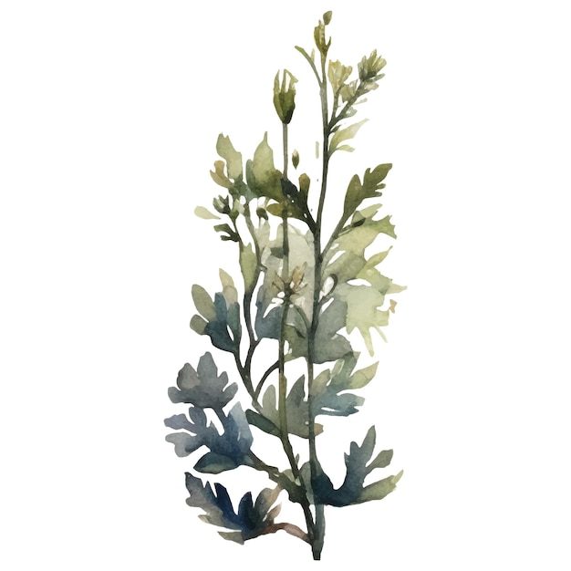 ベクトル ベクトル水彩画の花のイラストを描いた白い背景に分離された手描きの花のデザイン要素