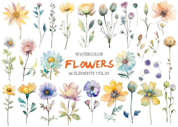 Vector watercolor painted flowers Hand drawn flower design elements isolated on white background