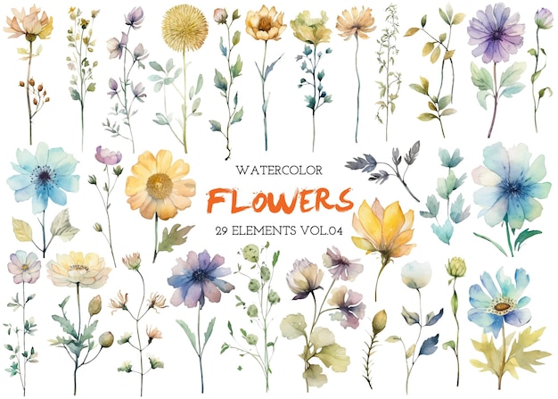 Vector watercolor painted flowers Hand drawn flower design elements isolated on white background