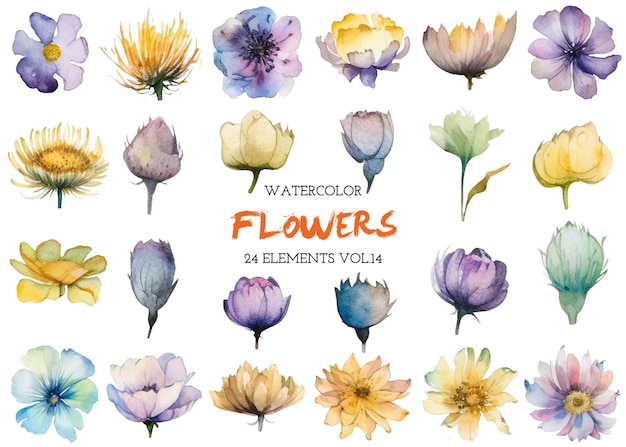 Vector watercolor painted flowers Hand drawn flower design elements isolated on white background