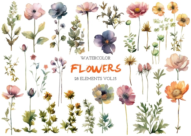 Vector watercolor painted flowers Hand drawn flower design elements isolated on white background