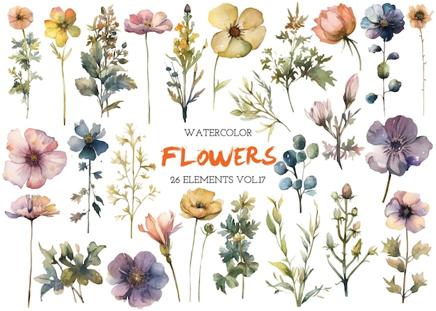 Vector watercolor painted flowers Hand drawn flower design elements isolated on white background