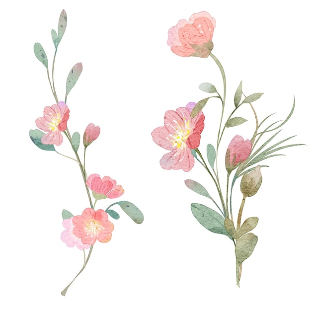 Vector watercolor pink flower bouquet collection