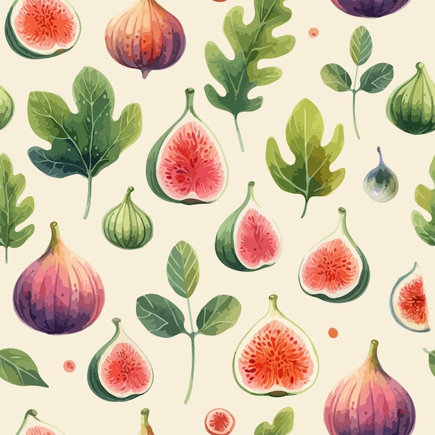 Vector watercolor seamless pattern with figs