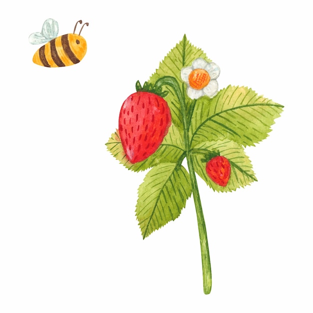 Vector watercolor strawberry branch with bee Fresh summer berries with leaves and flower