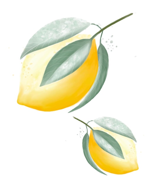 Векторный акварельный набор лимонов с листьями пастельные тона цитрусовых