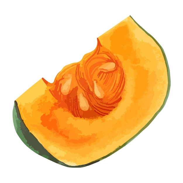 Vector waterverf illustratie van pompoen